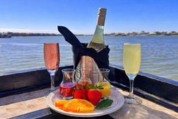 Mimosa Kit $19.95